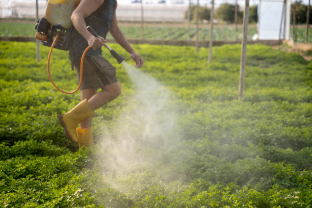 Best Insect Control  in Madison, AL