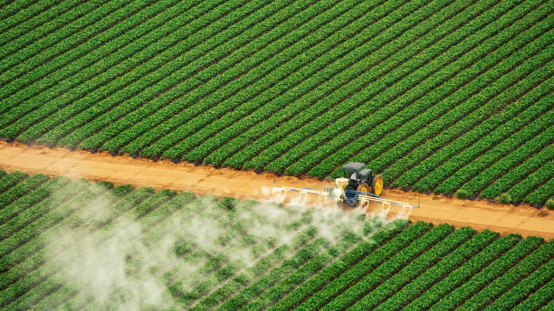 Best Local Pest Control Services  in Madison, AL