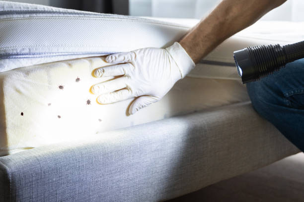 Best Bed Bug Extermination  in Madison, AL