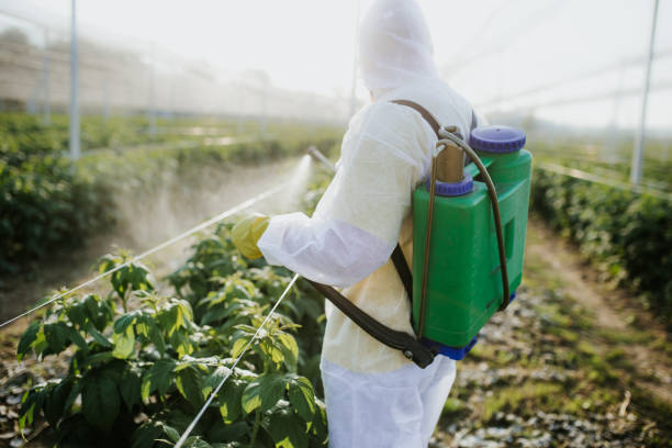 Best Flea Control Services  in Madison, AL